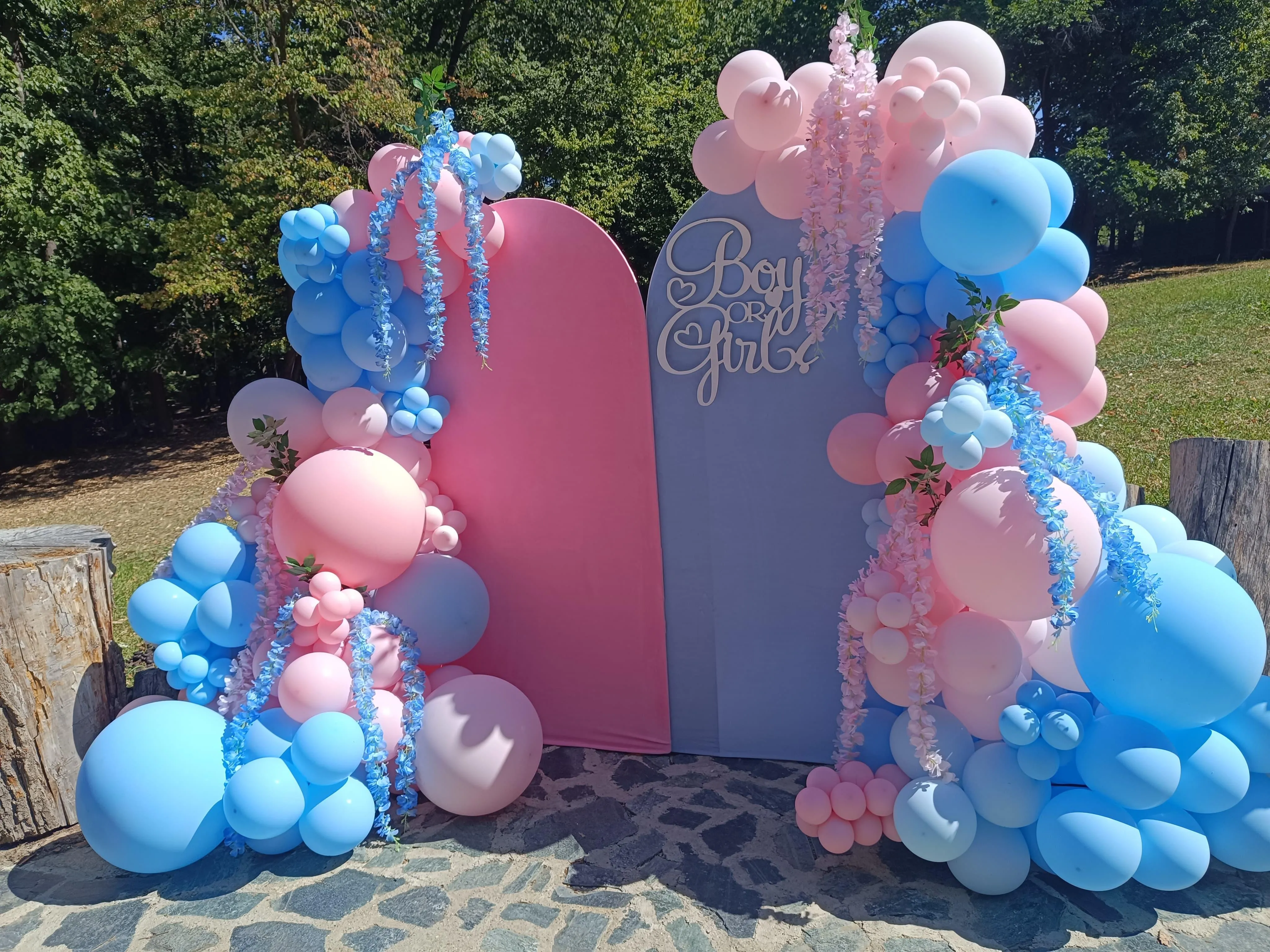Gender Reveal