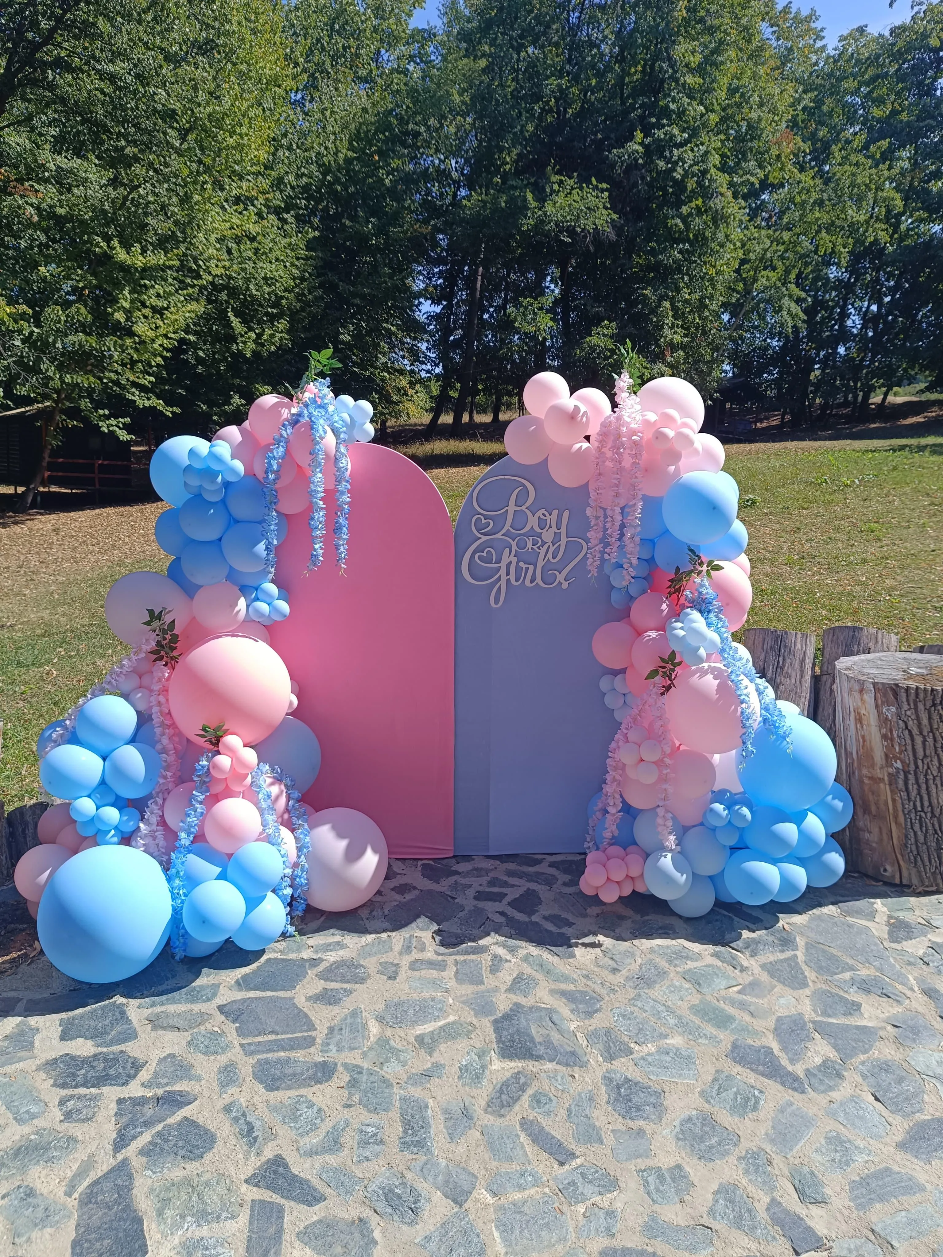 Gender Reveal