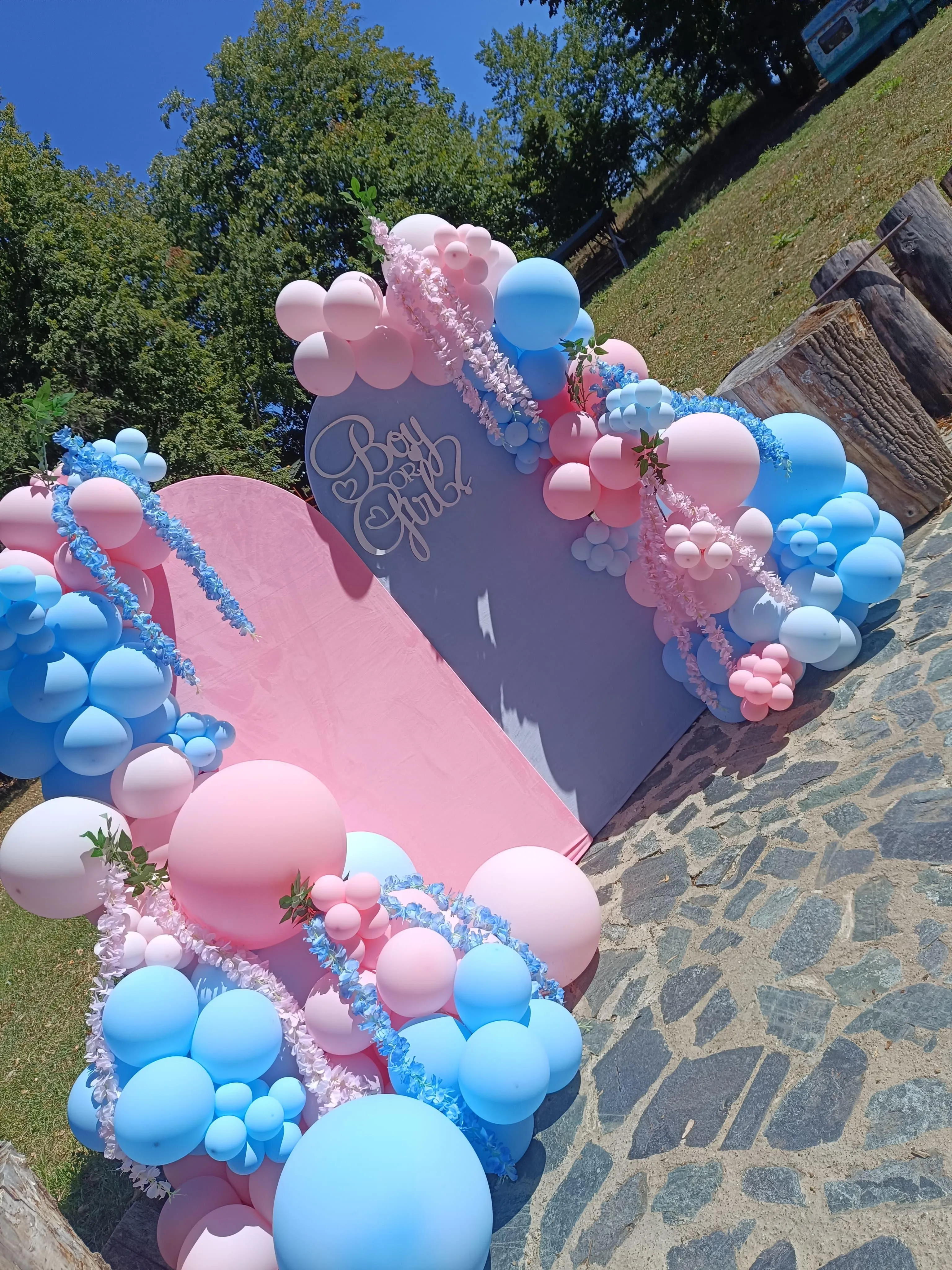 Gender Reveal